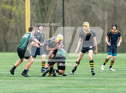 Thumbnail 1 in Marshfield @ Needham photogallery.