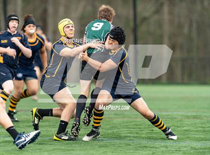 Thumbnail 2 in Marshfield @ Needham photogallery.
