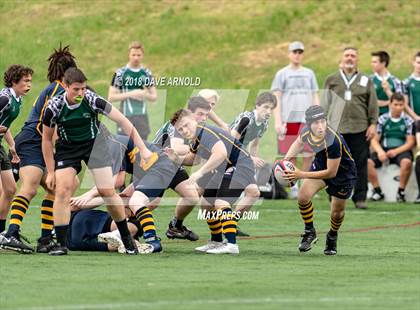 Thumbnail 2 in Marshfield @ Needham photogallery.