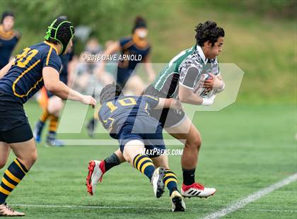 Thumbnail 2 in Marshfield @ Needham photogallery.