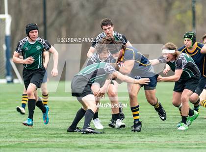 Thumbnail 1 in Marshfield @ Needham photogallery.