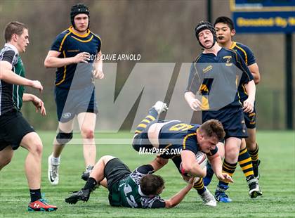 Thumbnail 1 in Marshfield @ Needham photogallery.