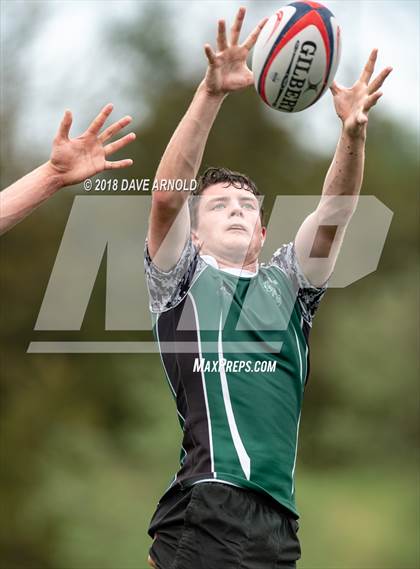 Thumbnail 1 in Marshfield @ Needham photogallery.