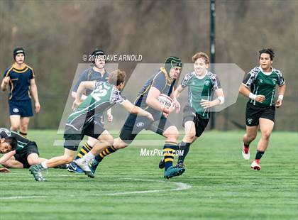Thumbnail 3 in Marshfield @ Needham photogallery.