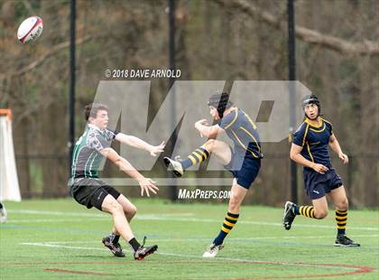 Thumbnail 3 in Marshfield @ Needham photogallery.