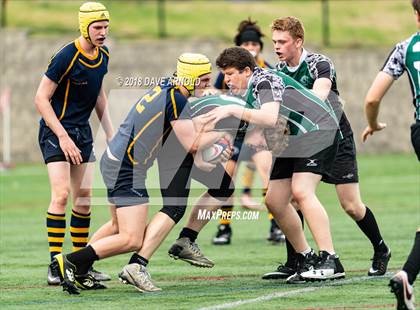 Thumbnail 2 in Marshfield @ Needham photogallery.
