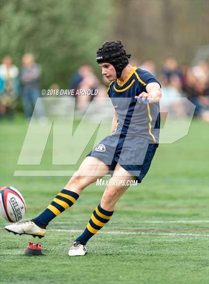 Thumbnail 1 in Marshfield @ Needham photogallery.