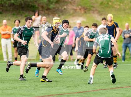 Thumbnail 1 in Marshfield @ Needham photogallery.