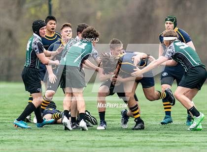 Thumbnail 3 in Marshfield @ Needham photogallery.