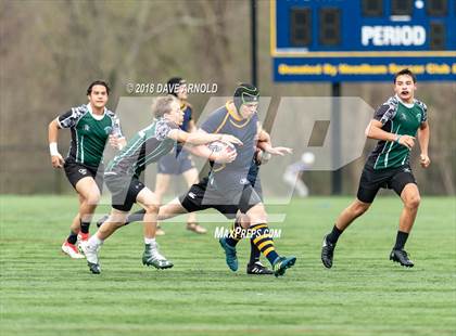Thumbnail 3 in Marshfield @ Needham photogallery.