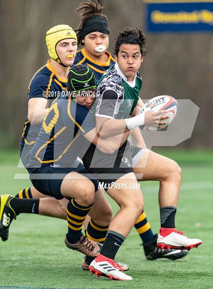 Thumbnail 2 in Marshfield @ Needham photogallery.