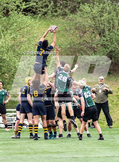 Thumbnail 2 in Marshfield @ Needham photogallery.