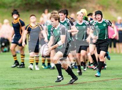 Thumbnail 1 in Marshfield @ Needham photogallery.