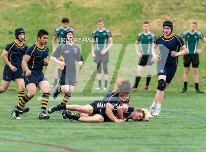 Thumbnail 3 in Marshfield @ Needham photogallery.