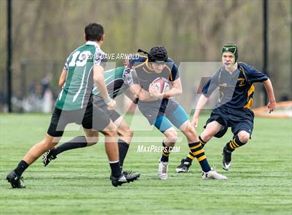Thumbnail 2 in Marshfield @ Needham photogallery.