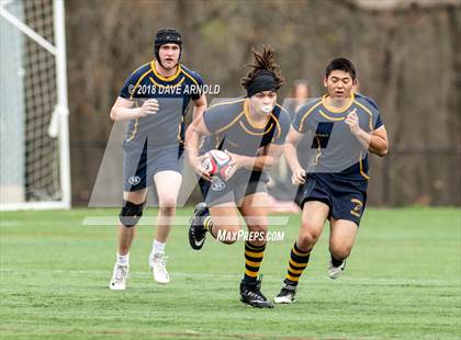 Thumbnail 1 in Marshfield @ Needham photogallery.