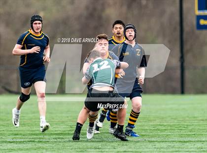 Thumbnail 1 in Marshfield @ Needham photogallery.