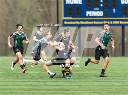 Thumbnail 1 in Marshfield @ Needham photogallery.