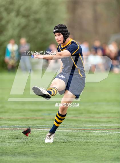 Thumbnail 2 in Marshfield @ Needham photogallery.