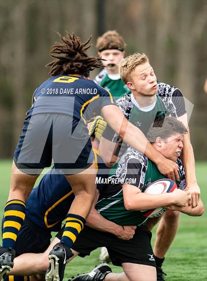 Thumbnail 1 in Marshfield @ Needham photogallery.