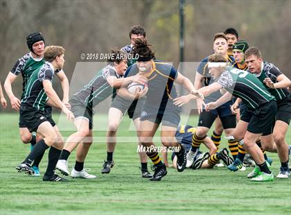 Thumbnail 3 in Marshfield @ Needham photogallery.