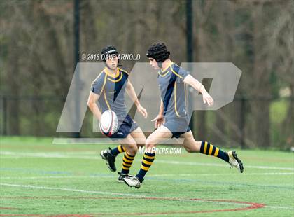 Thumbnail 3 in Marshfield @ Needham photogallery.