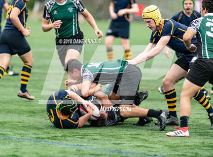 Thumbnail 2 in Marshfield @ Needham photogallery.