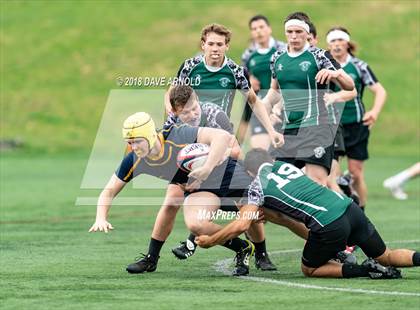 Thumbnail 2 in Marshfield @ Needham photogallery.