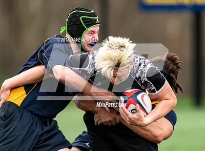 Thumbnail 1 in Marshfield @ Needham photogallery.
