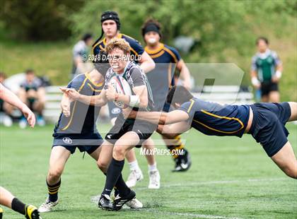Thumbnail 3 in Marshfield @ Needham photogallery.