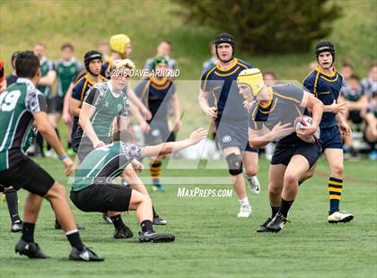 Thumbnail 3 in Marshfield @ Needham photogallery.