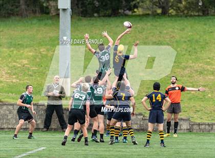 Thumbnail 2 in Marshfield @ Needham photogallery.