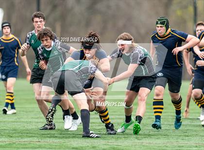 Thumbnail 2 in Marshfield @ Needham photogallery.