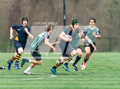 Thumbnail 2 in Marshfield @ Needham photogallery.