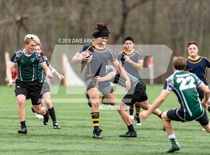 Thumbnail 3 in Marshfield @ Needham photogallery.