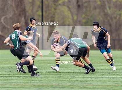 Thumbnail 2 in Marshfield @ Needham photogallery.
