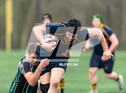 Thumbnail 2 in Marshfield @ Needham photogallery.