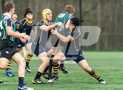 Thumbnail 3 in Marshfield @ Needham photogallery.