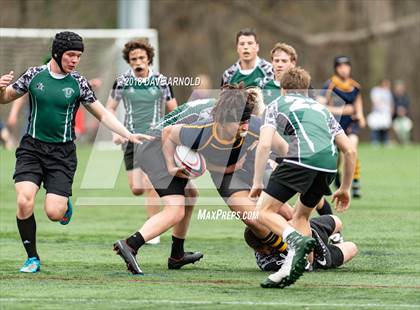 Thumbnail 3 in Marshfield @ Needham photogallery.