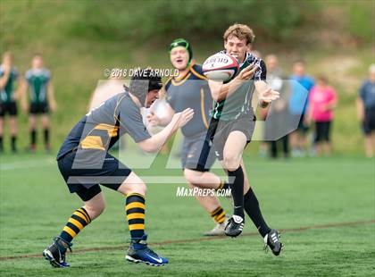 Thumbnail 3 in Marshfield @ Needham photogallery.