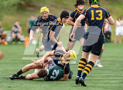 Thumbnail 2 in Marshfield @ Needham photogallery.