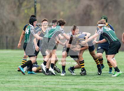 Thumbnail 2 in Marshfield @ Needham photogallery.