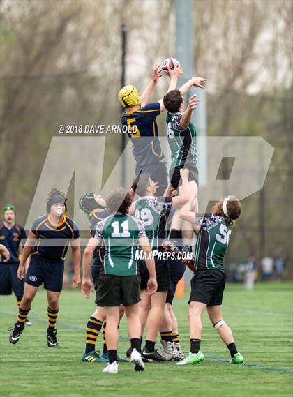Thumbnail 3 in Marshfield @ Needham photogallery.