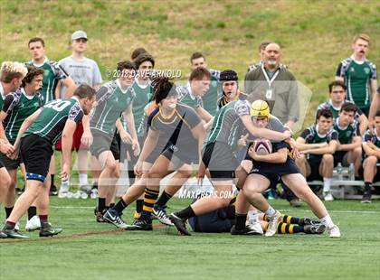 Thumbnail 2 in Marshfield @ Needham photogallery.