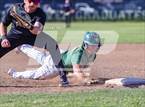 Photo from the gallery "Petaluma @ Casa Grande"