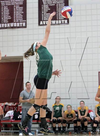 Thumbnail 3 in Seton-LaSalle vs Avonworth photogallery.