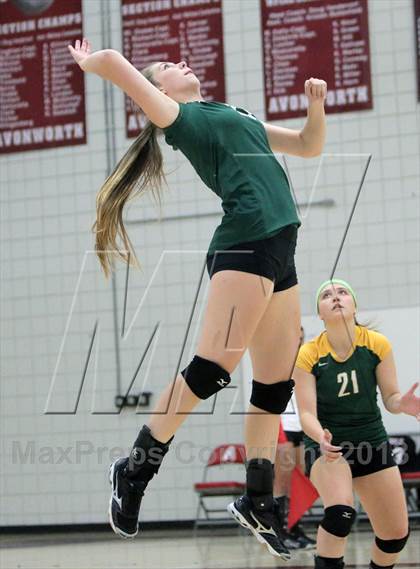 Thumbnail 3 in Seton-LaSalle vs Avonworth photogallery.