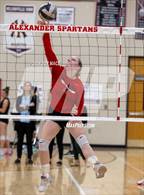 Photo from the gallery "Athens @ Alexander"