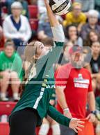 Photo from the gallery "Athens @ Alexander"