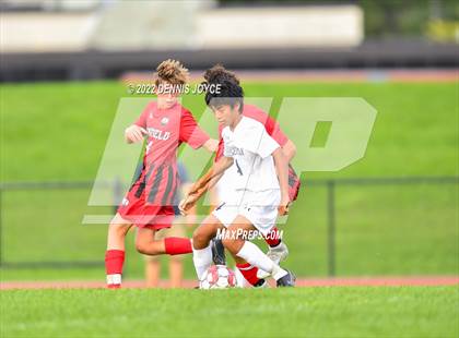 Thumbnail 3 in Penfield photogallery.